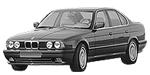 BMW E34 P1E0C Fault Code