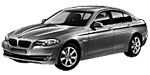 BMW F10 P1E0C Fault Code